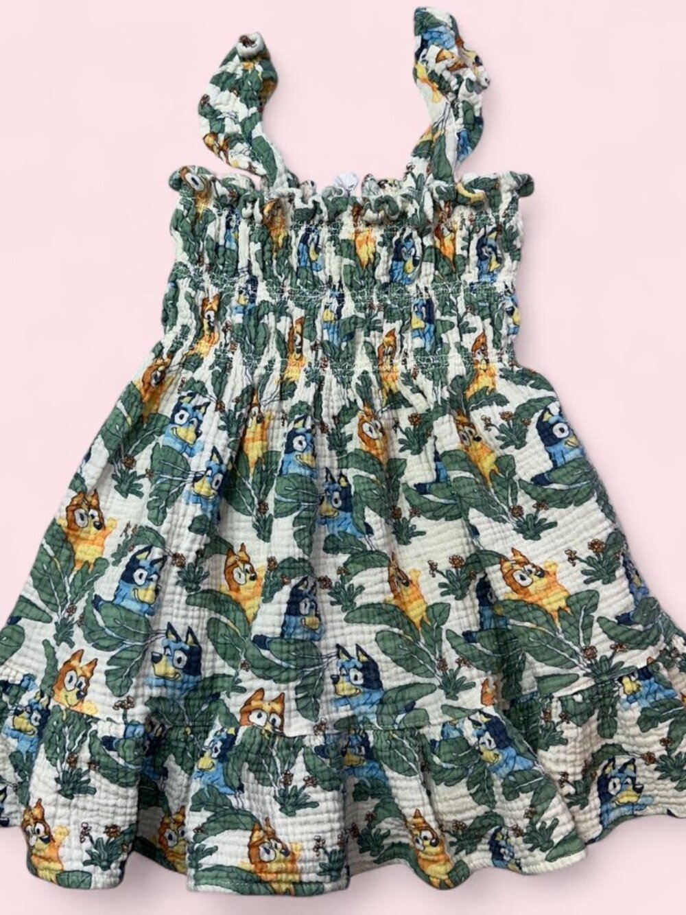 Bluey Girls' 5T cotton dress